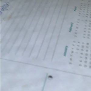 Meet your Posher, Kristine